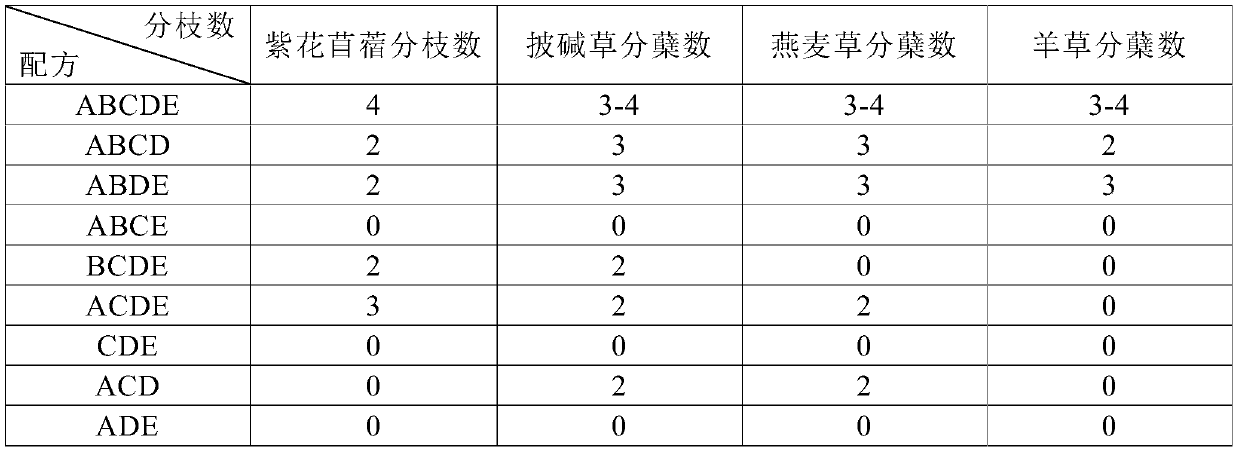 Topsoil substitute material based on opencast coal mine overburden materials, and preparation method of topsoil substitute material based on opencast coal mine overburden materials