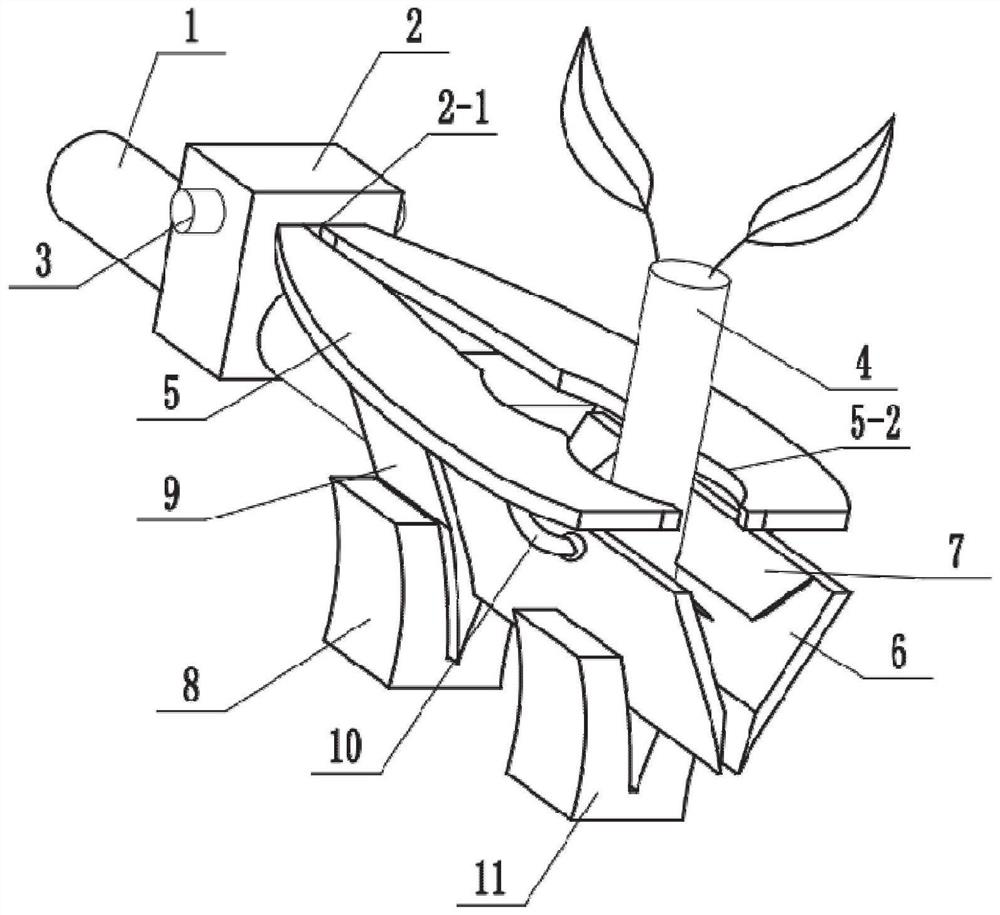 Seedling combined grafting device and method