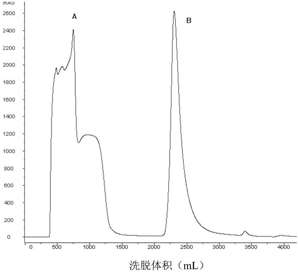 Purification production method for recombinant human bone morphogenetic protein-2