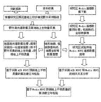 Grassland dry matter mass remote sensing estimating method