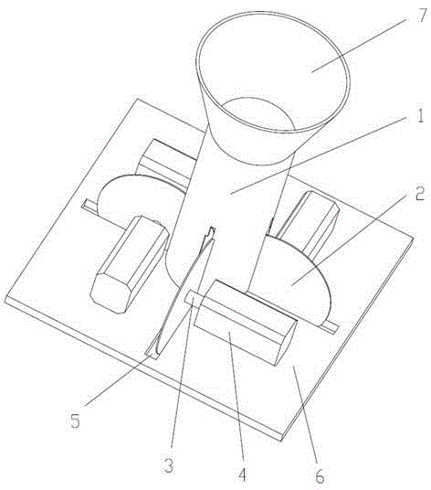 Freeze-drying grapefruit tea and processing method thereof