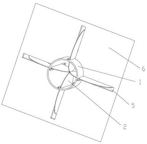 Freeze-drying grapefruit tea and processing method thereof