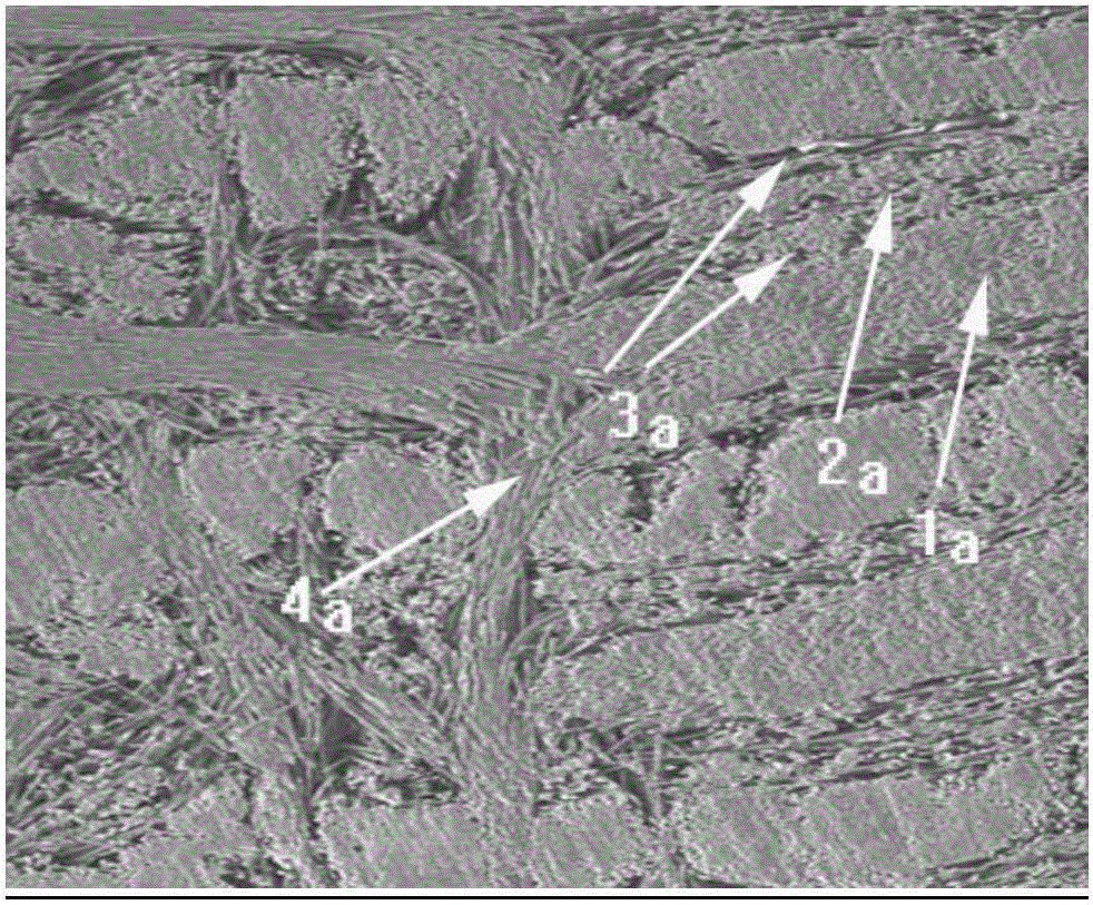 A kind of preparation method of continuous fiber reinforced carbon/carbon-molybdenum composite material