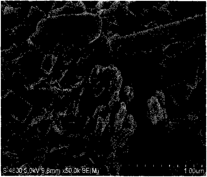 Method for preparing titanium sol carrier zinc and copper ion-adsorbing antibacterial agent by microwave heating