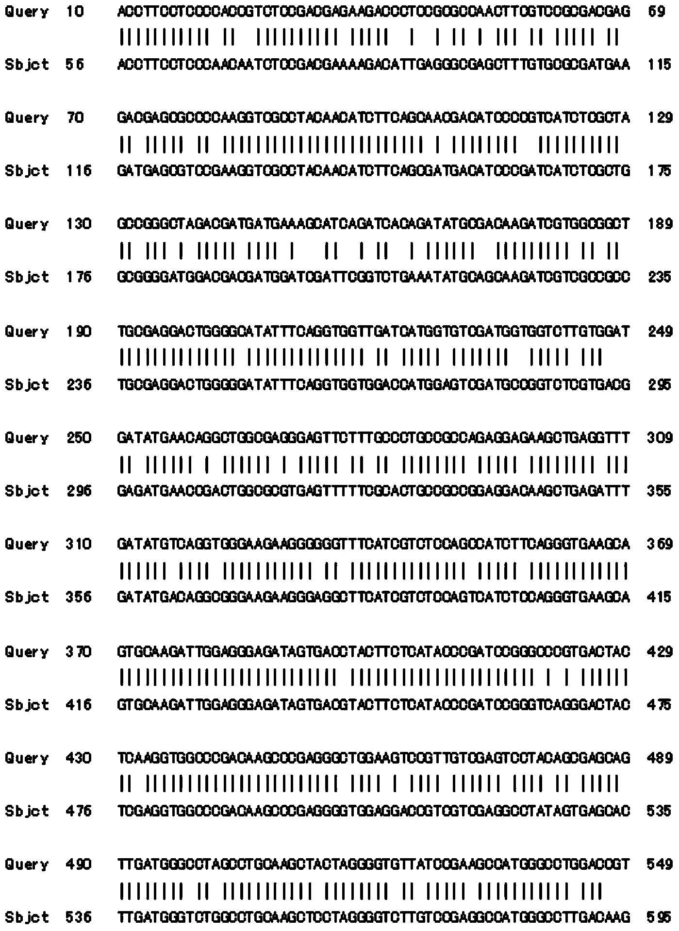 Tulip flavanone-3-hydroxylase TfF3H protein and encoding gene thereof