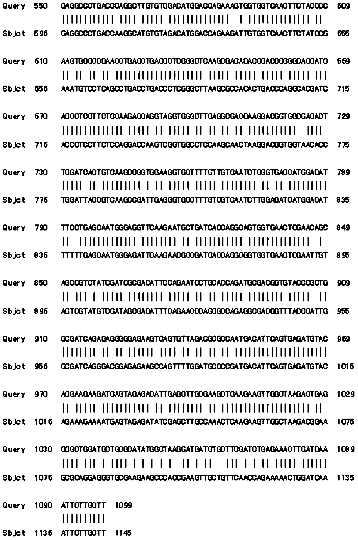 Tulip flavanone-3-hydroxylase TfF3H protein and encoding gene thereof