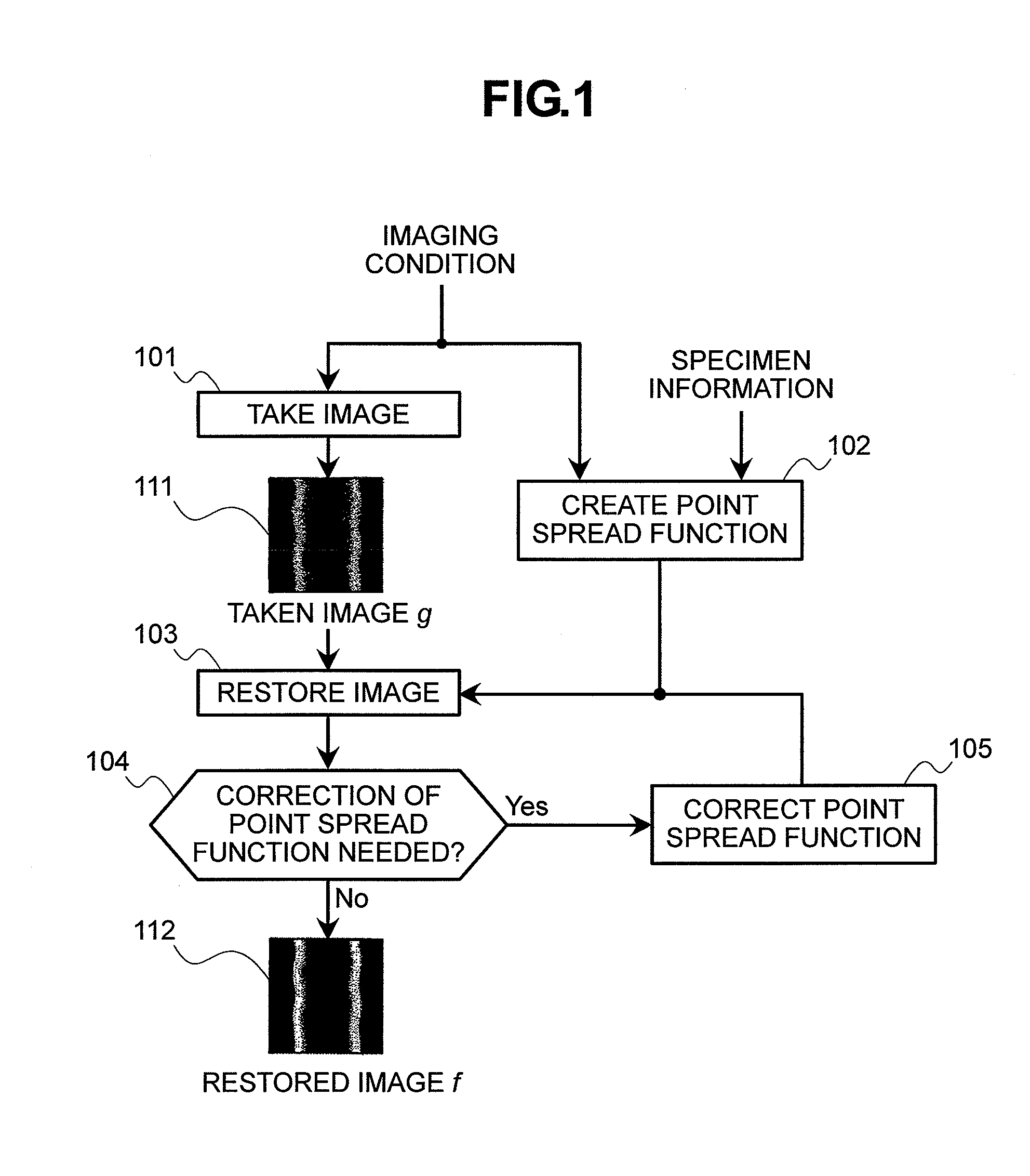 Scanning electron microscope and method for processing an image obtained by the scanning electron microscope