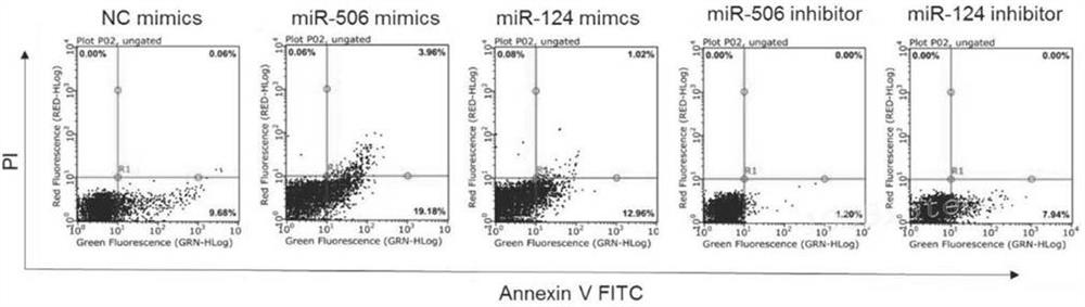 Application of protein c in the treatment of hepatic portal hypertension