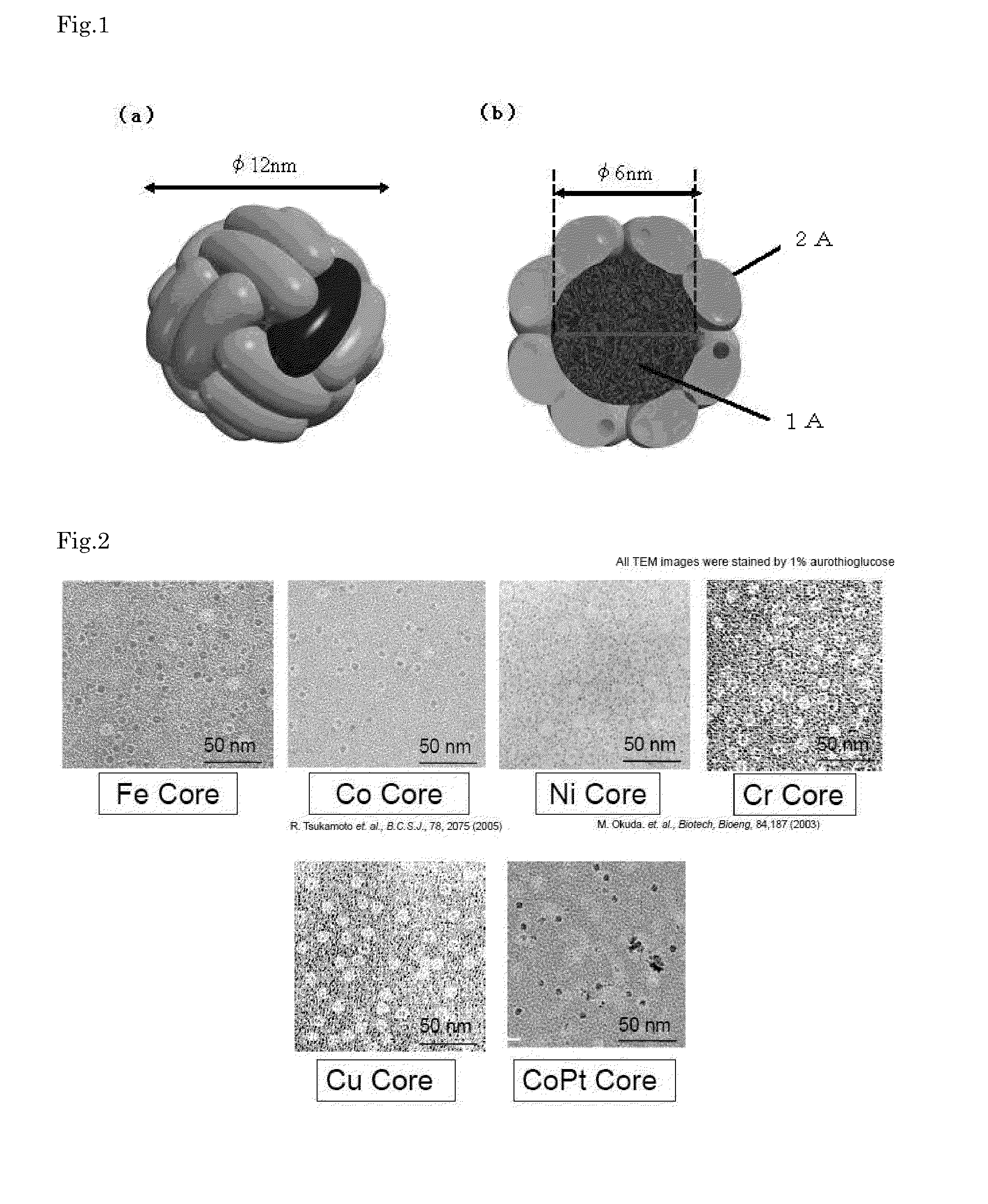 Circularly Polarized Light-Emitting Nanoparticle