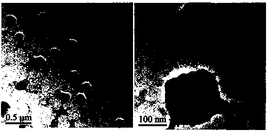 Eye use voriconazole nanocrystal preparation and preparation method thereof