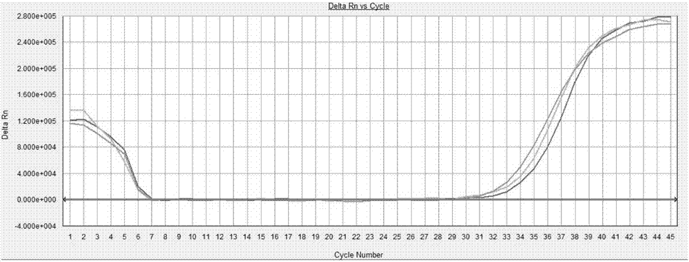 Freeze-drying technology of M-MLV reverse transcriptase