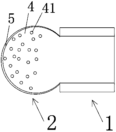 Cleaning brush