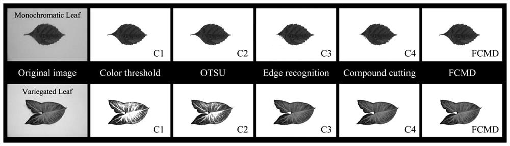 Leaf RGB image rapid cutting and multiple denoising method