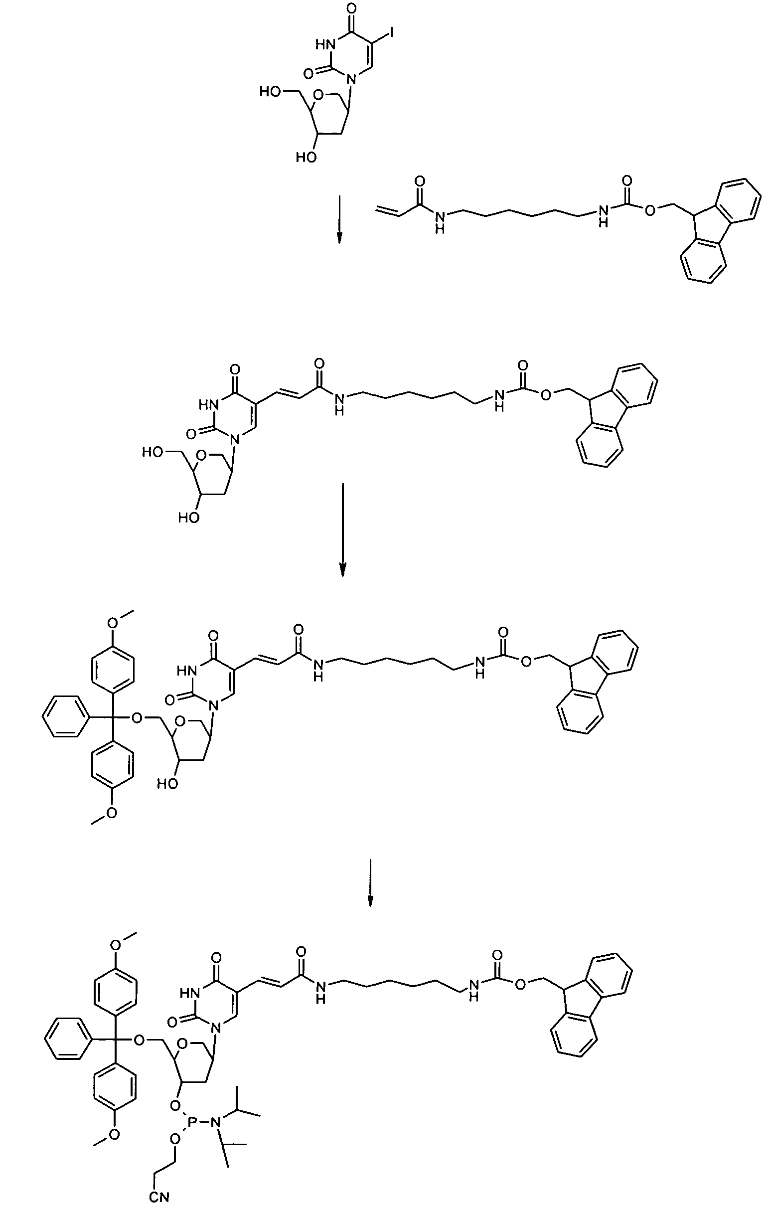 Nucleotide analogs with six-membered rings