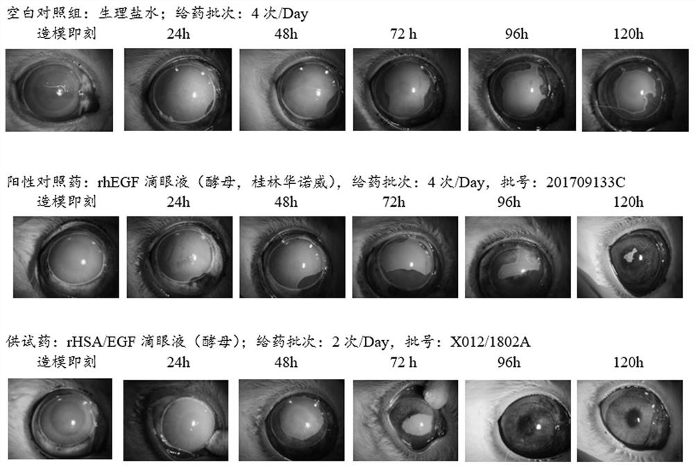 A temperature-sensitive gel damage repair preparation and its application