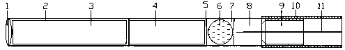 Electronic cigarette with microcapsule releasing device and microcapsule