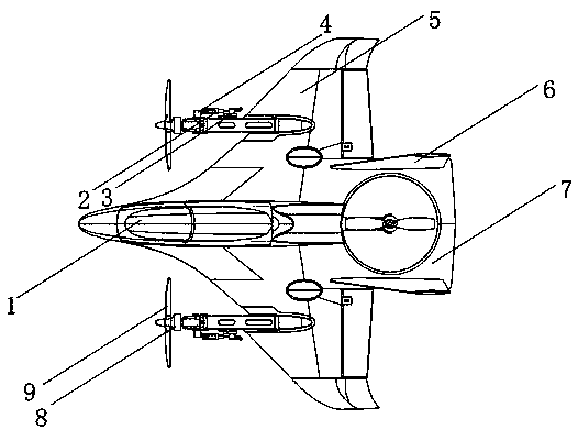 Model plane