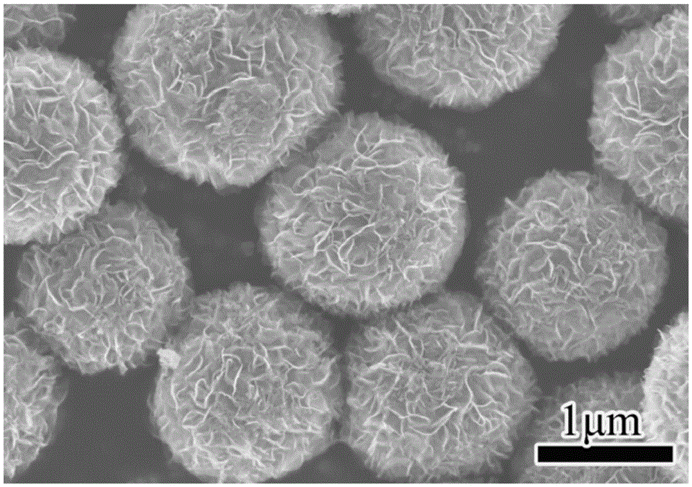 Titanium dioxide with core-shell structure constructed by nanosheets and its preparation method and application