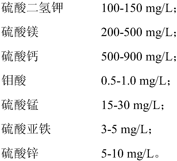 Microbial agent for relieving continuous cropping obstacle of melon crop and application of microbial agent