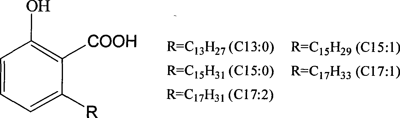 Ginkgoic acid preparation method using macroporous adsorption resin