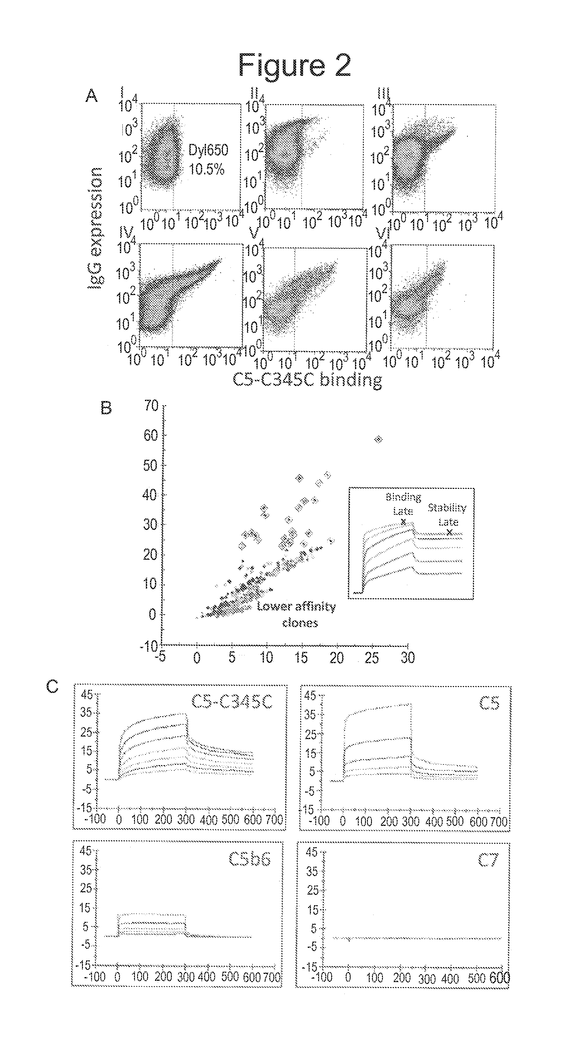 Humanized antibodies directed against complement protein C5