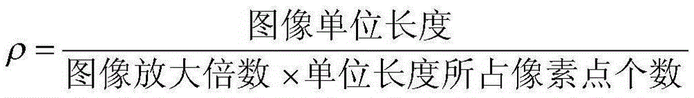 Automatic speed adjustment control system of toothed roll crusher and control method