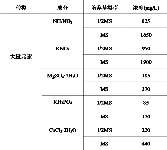 Tissue culture method of trichosanthes kirilowii