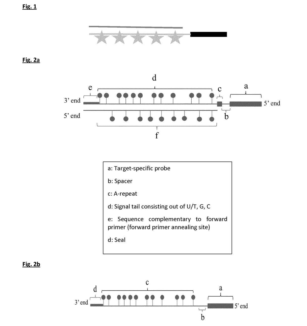 Probes and a methylation in situ hybridization assay