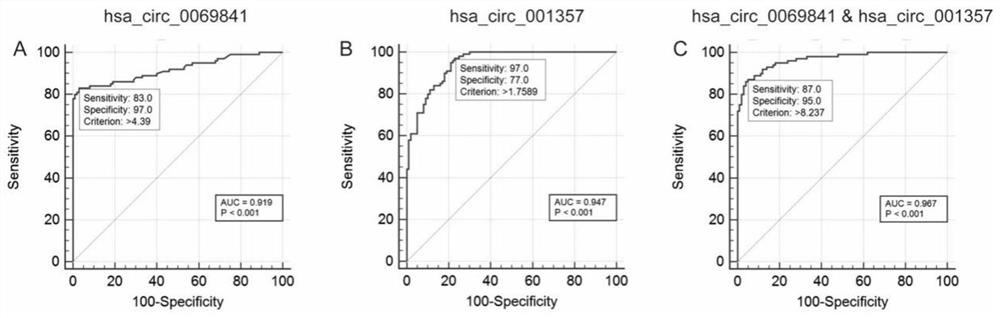 CircRNA composition marker for identifying non-small cell lung cancer (NSCLC) subtypes and application of circRNA composition marker