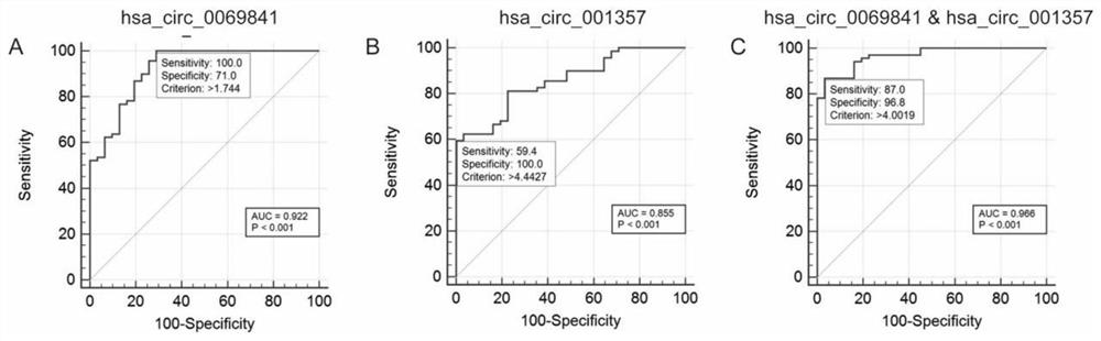 CircRNA composition marker for identifying non-small cell lung cancer (NSCLC) subtypes and application of circRNA composition marker