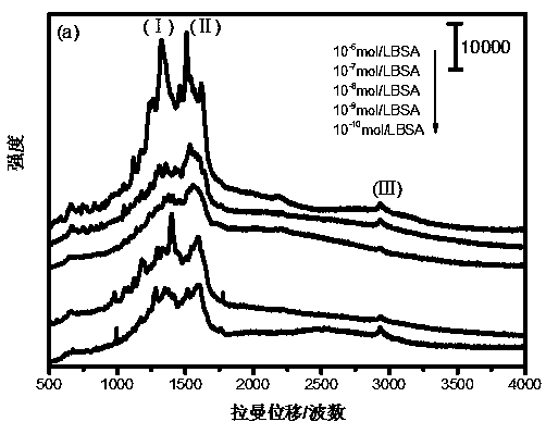 A nanoprobe device for Raman-enhanced protein detection and its preparation method