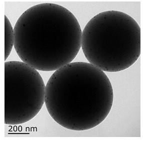 A nanoprobe device for Raman-enhanced protein detection and its preparation method