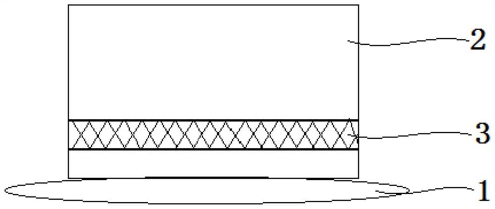 Electrode and preparation method thereof