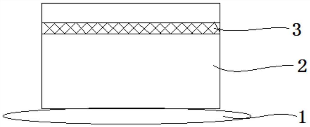 Electrode and preparation method thereof