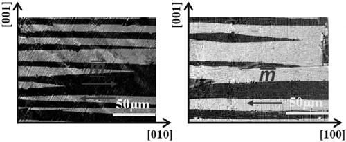 Method for regulating magnetic domain of FeGa magnetostrictive alloy by using unidirectional solidification stress