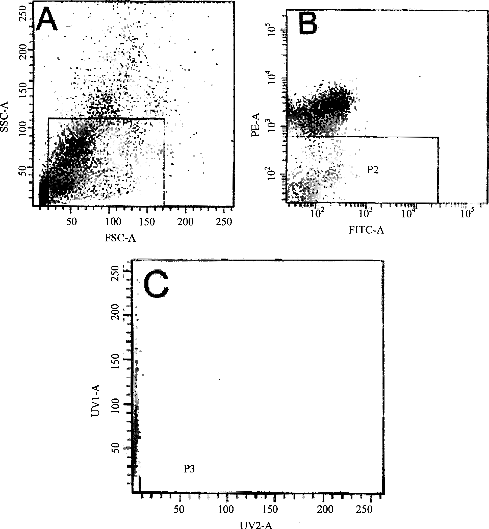 Use of small intestine SP cells in preparing medicament for treating damage of intestines