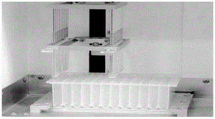 Full-automatic polypeptide extraction time-of-flight mass spectrometry detector