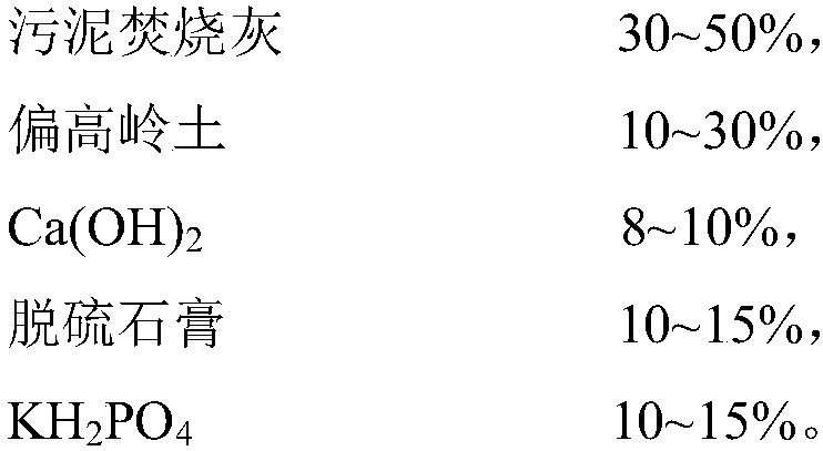 Sludge incineration ash based geopolymer and preparation method thereof