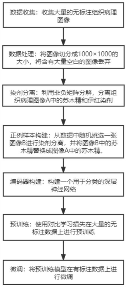 Semi-supervised learning method for carrying out cell nucleus segmentation on histopathological image