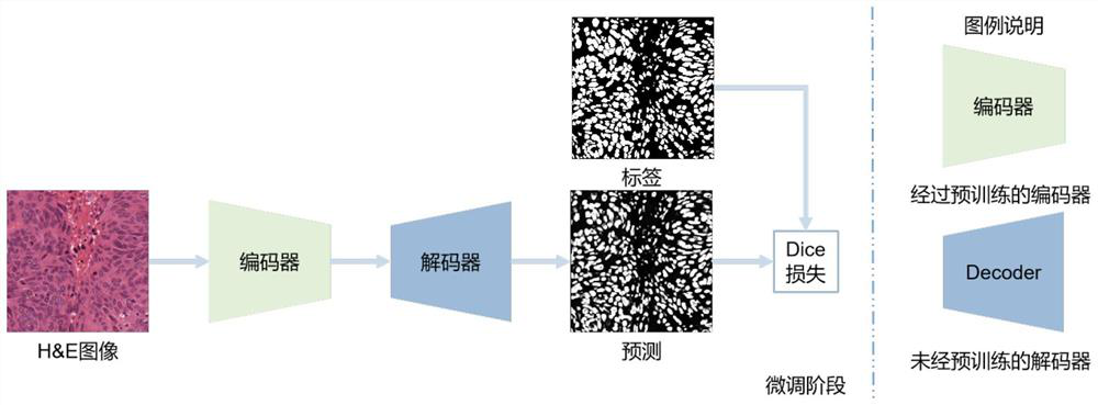 Semi-supervised learning method for carrying out cell nucleus segmentation on histopathological image