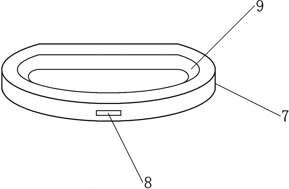 Wall-mounted d-shaped frameless bee hive