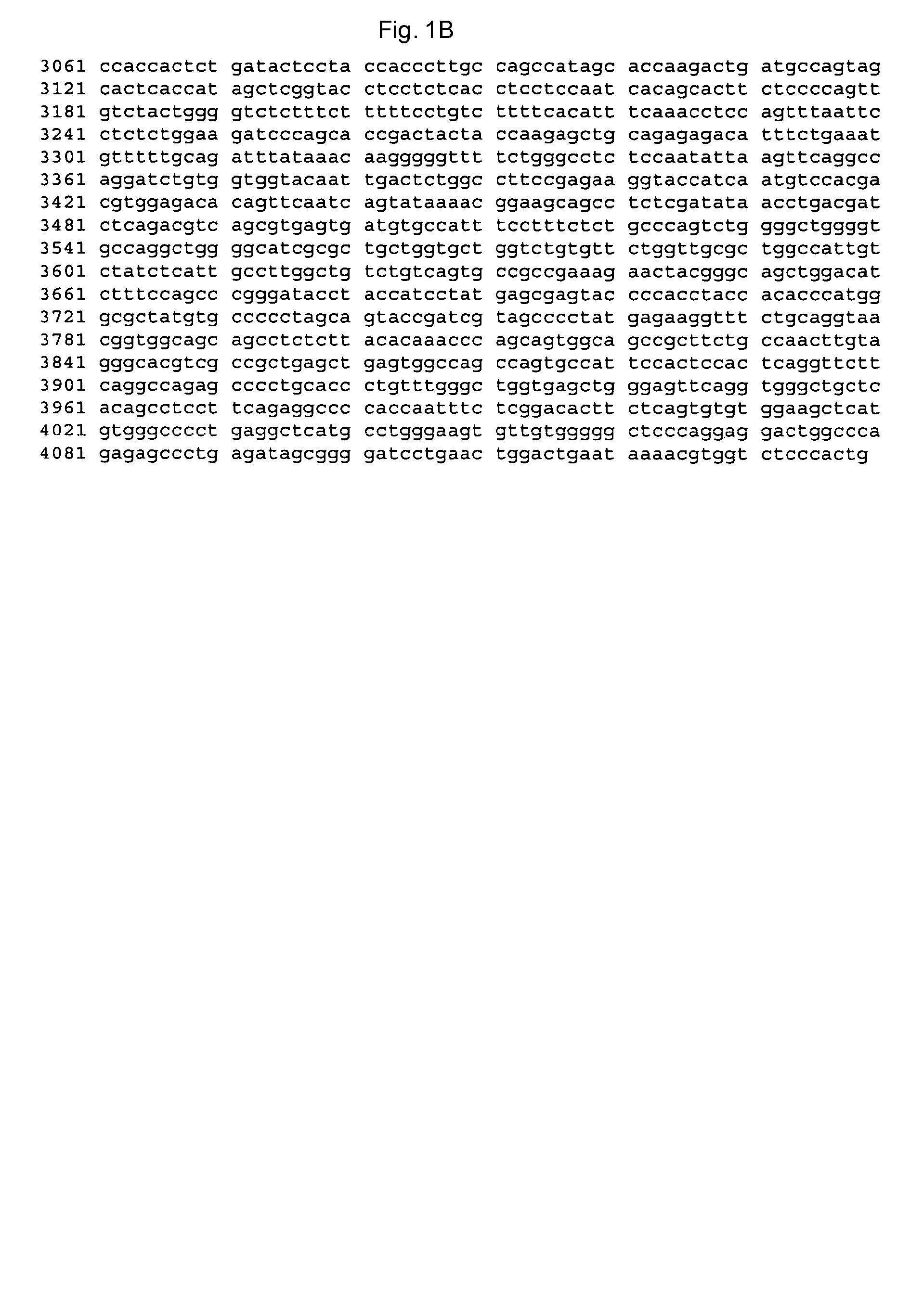 Mucin antigen vaccine