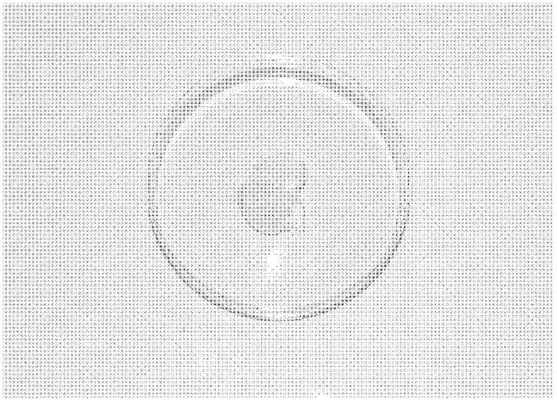 Halogen-free cleaning-free rosin flux, and preparation and application thereof