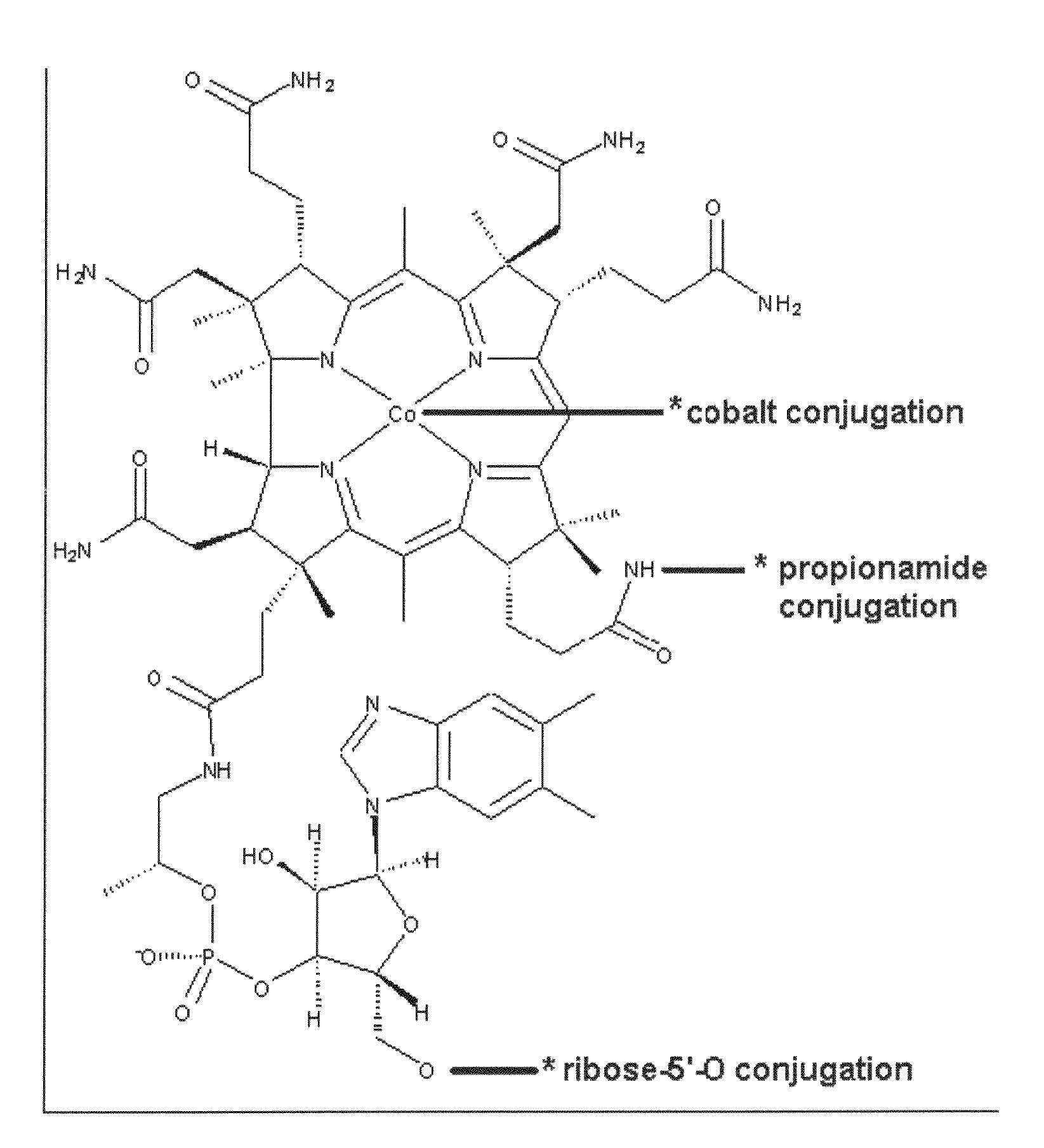 Conjugate of insulin and vitamin B12 for oral delivery