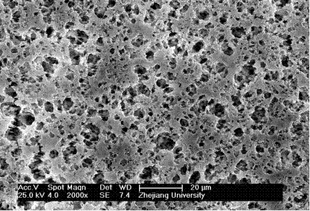 Method for preparing super-hydrophilic polyvinylidene fluoride membrane