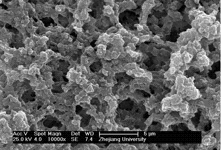 Method for preparing super-hydrophilic polyvinylidene fluoride membrane