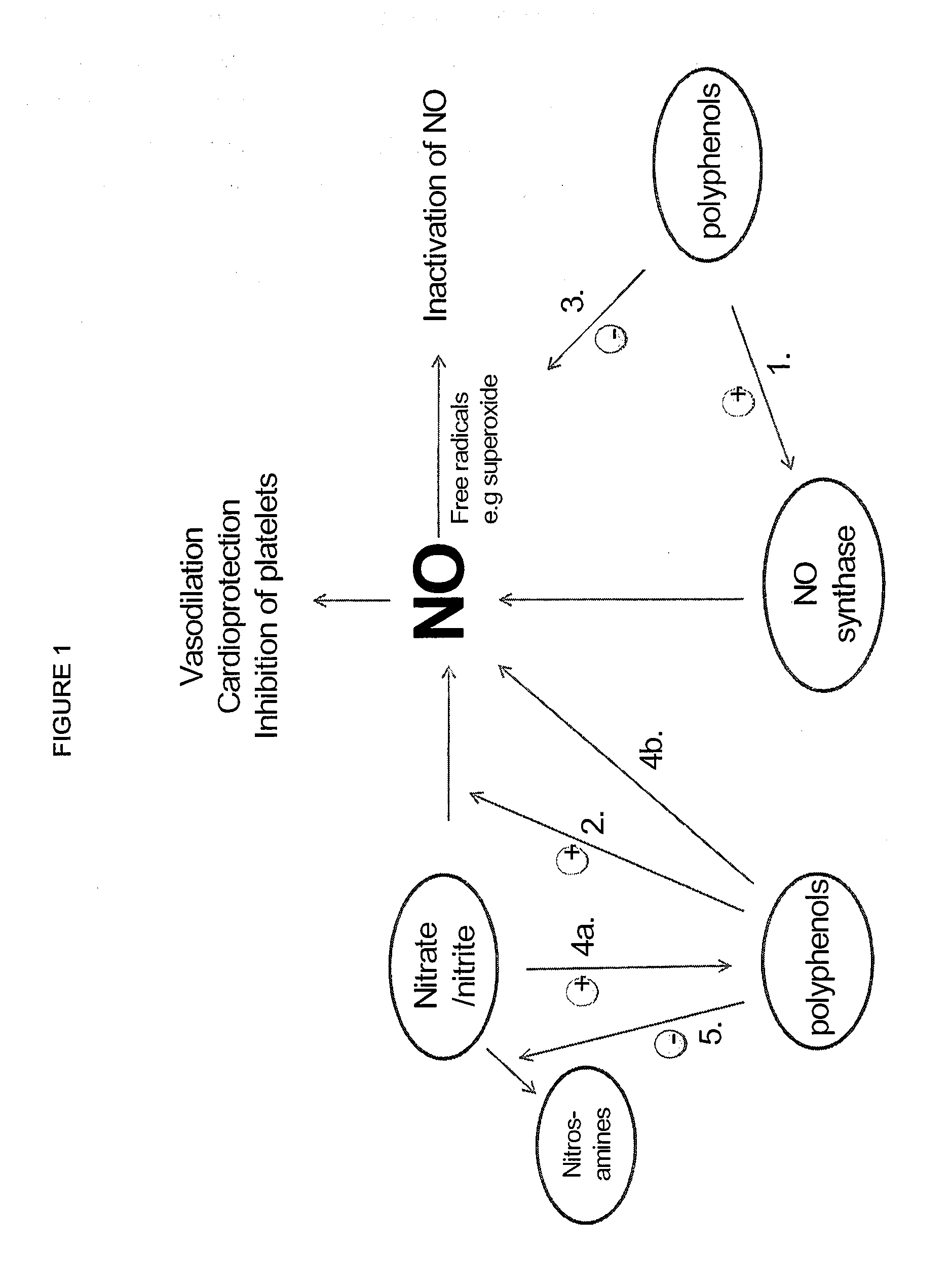 Use of nitrites and nitrates and compositions containing these