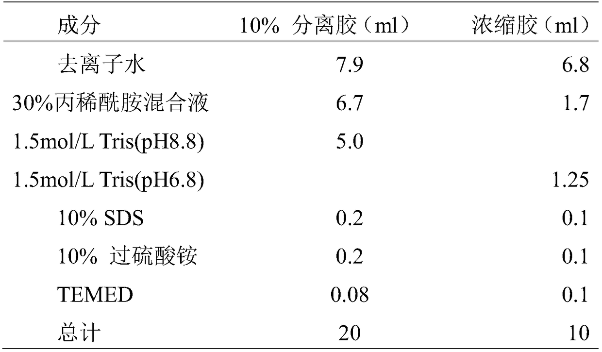 A method for producing porcine-derived adiponectin