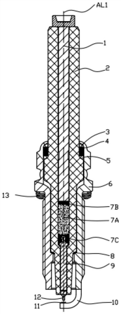 Spark plug and engine