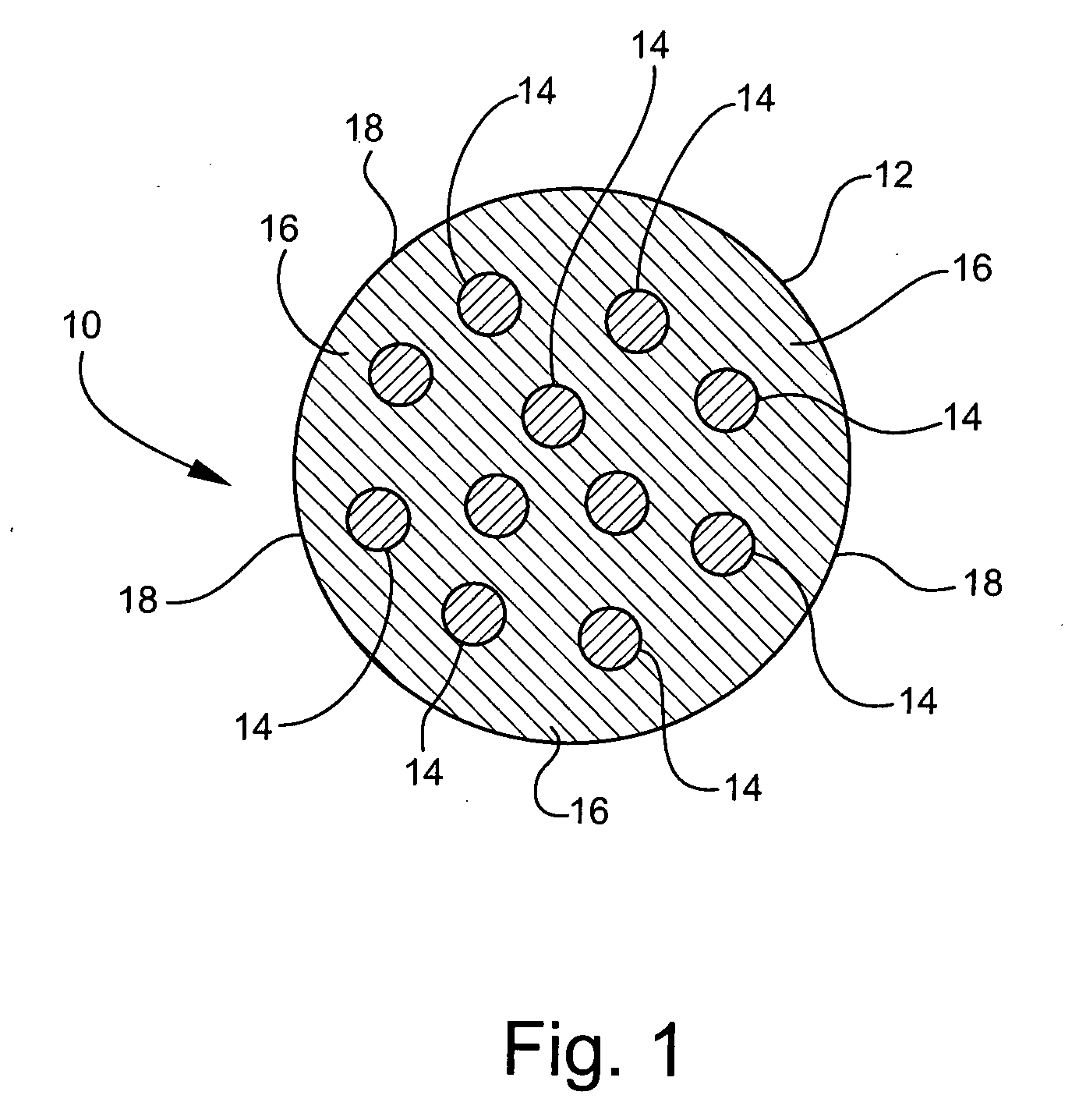 Transparent, reinforced, composite fiber and articles made therefrom